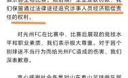 VAR判罚再引争议，泰山对阵C罗裁判判点引发巨大争议